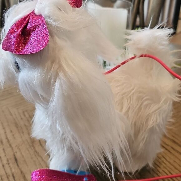 Guru pets walking, barking Maltese dog - Picture 5 of 8